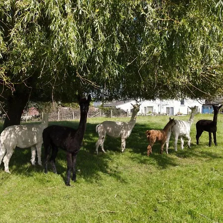 Ghyll Farm Holiday home Aspatria